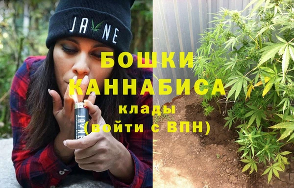 спиды Богданович