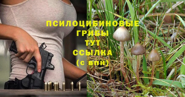 твердый Белоозёрский