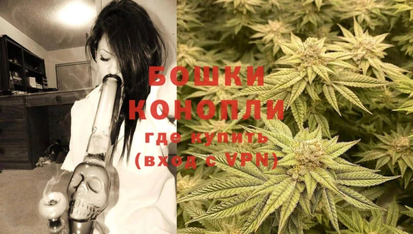 бошки Белокуриха