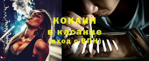 спиды Богданович